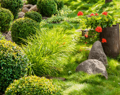 LANDSCAPING